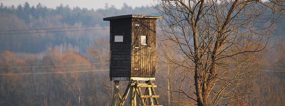 Ausflug nach Andernach