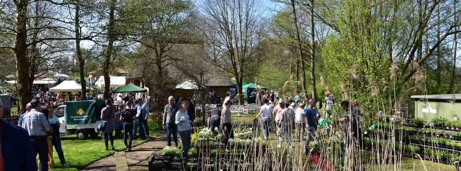 Pflanzen- und Handwerkermarkt