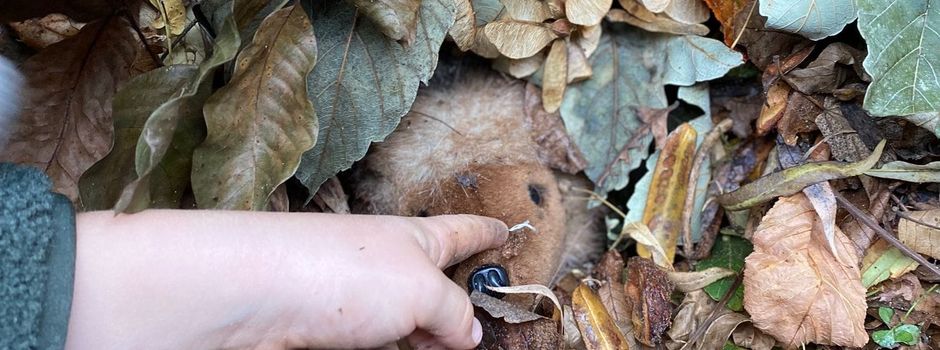 Das Naturparkmobil war da...