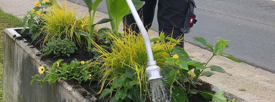 Grünpflege Paten in Oppenheim gesucht - Infoabend am 12. Oktober
