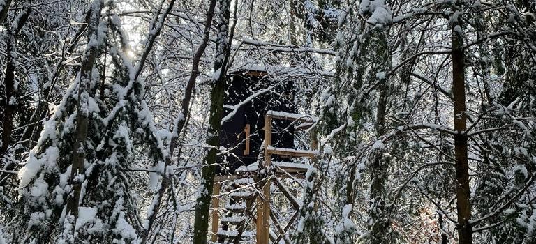 Drückjagd Oberraden am Samstag, den 30.11.2024