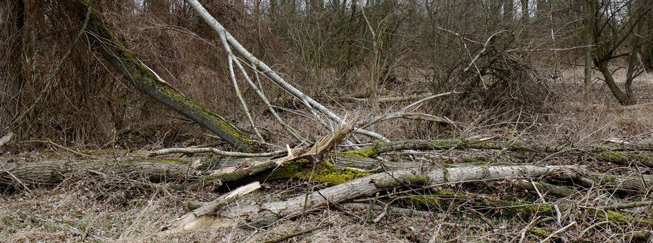 Sturmtiefs: auch Niederkassel blieb nicht verschont