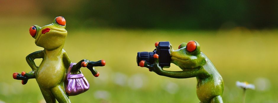 Motive für den Jahreskalender 2026 stehen fest
