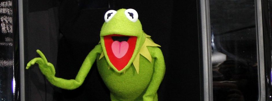 „Quiz mit Jörg Pilawa“: Mainzer scheitern an „Kermit der Frosch“