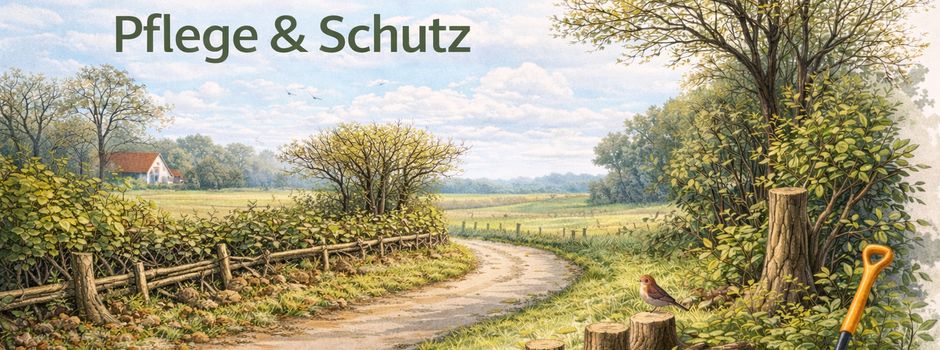 Knicks in Siek – Pflege & Schutz unserer Landschaft