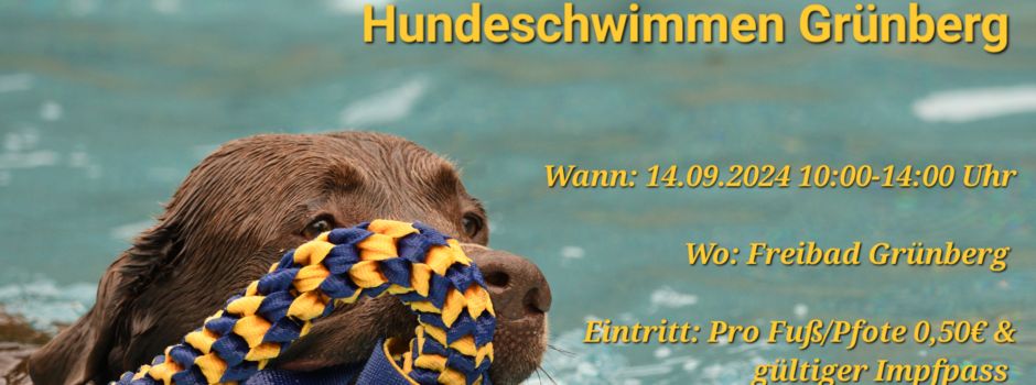 Hundeschwimmen im Freibad Grünberg