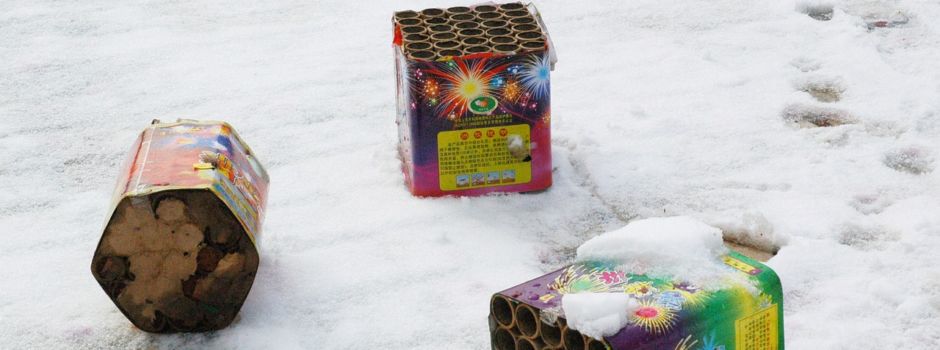 Kommt jetzt das Feuerwerks-Verbot vor Tierheimen?