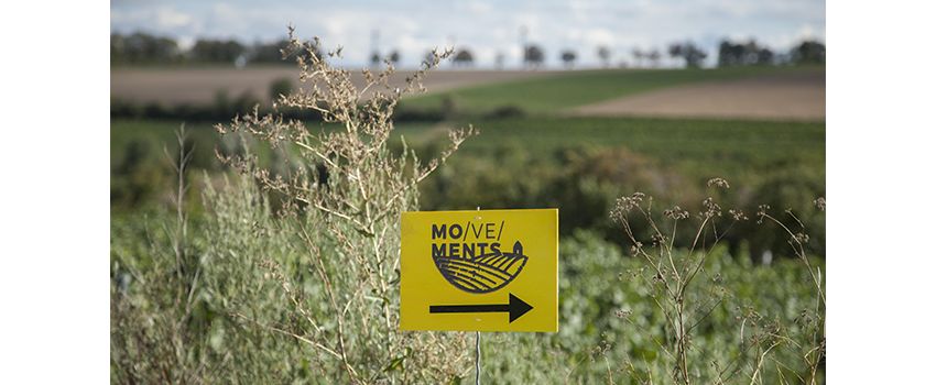 Kunst in den Weinbergen: „Mo/ve/ments“ lädt zum Kunsterlebnis in der Natur ein