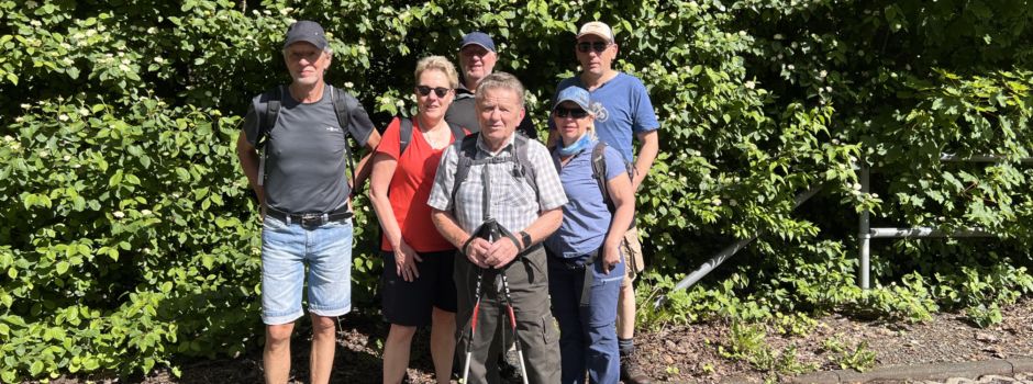 Wandern in den Vororten