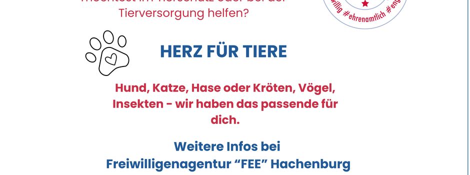 Du möchtest dich engagieren?