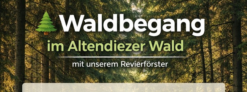 Waldbegang im Altendiezer Wald
