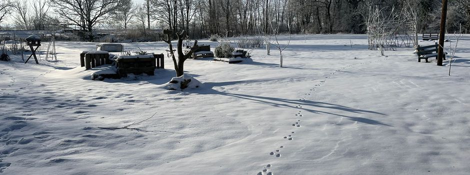 Winter im Gemeinschaftsgarten Nortmoor