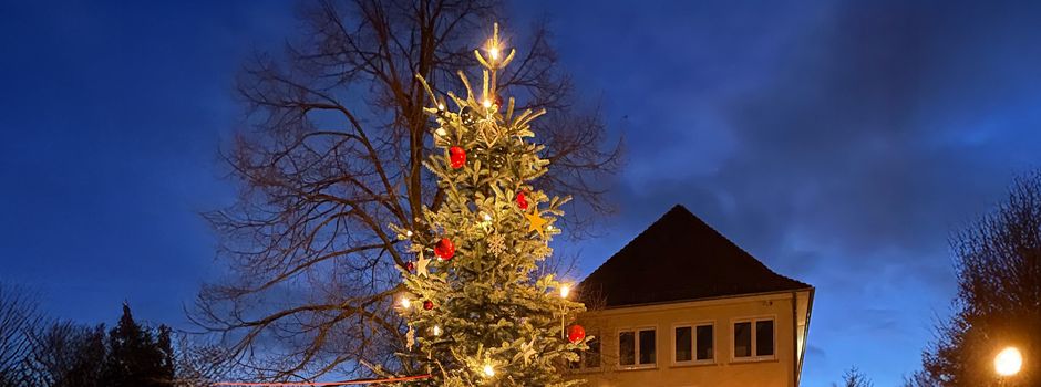 Wer hat einen Weihnachtsbaum abzugeben?
