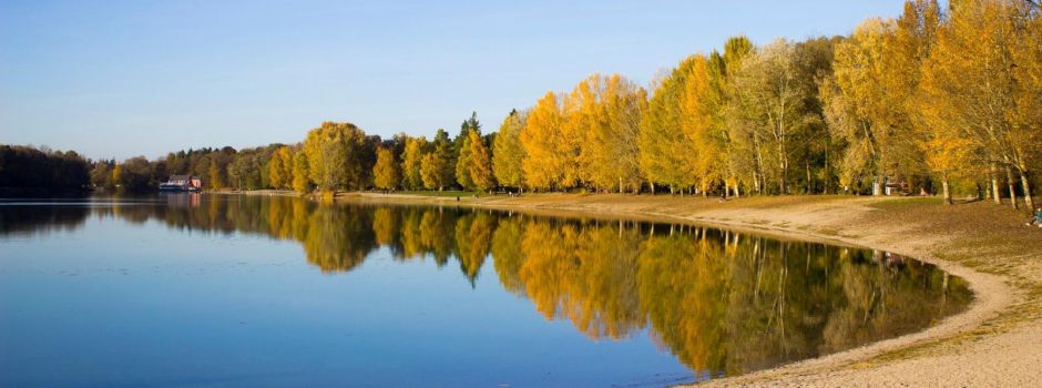 Diese 5 Typen wirst du garantiert am Kuhsee antreffen
