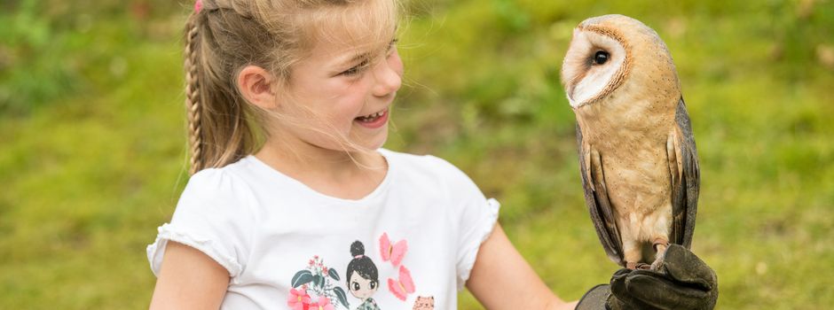Sommerferien voller Erlebnisse