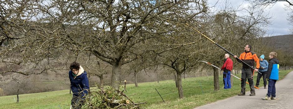 Erfolgreiche Obstbaumschnittaktion am Prallertsweg