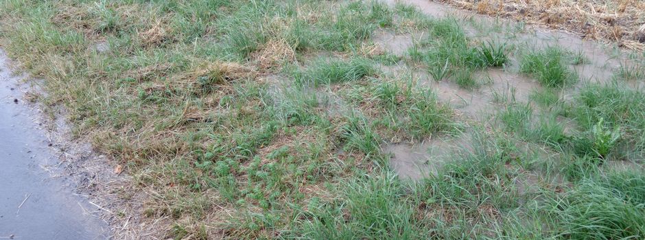 Gemeinsam unser Dorf verbessern – Mängel melden