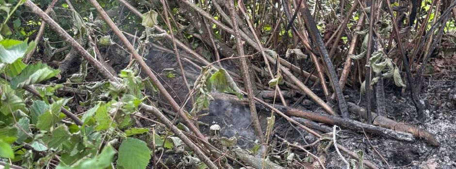 Aufmerksame Passantin entdeckt Glutnest am Heitmannsweg