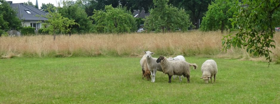 Stadt geht probeweise neue Wege
