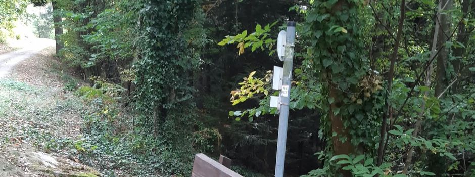 Weitere Sitzbank für den Wald