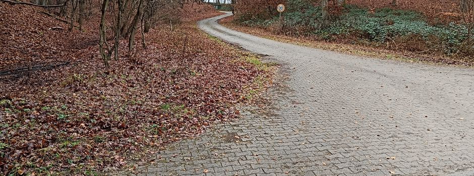 Salz: der Wappenstreit