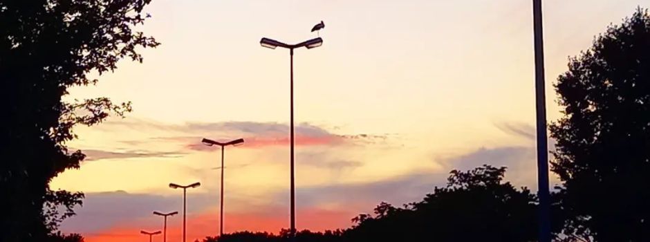 5 Dinge, die man nur kennt, wenn man aus Mainz kommt