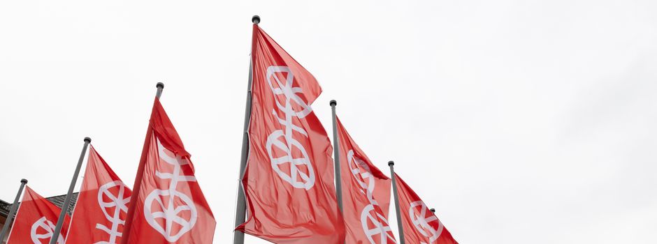 Mainzer Direktkandidaten: Was sind ihre Ziele?