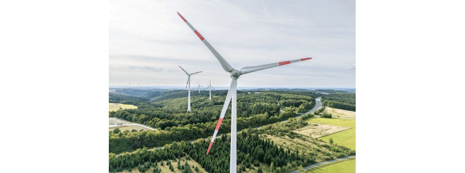 Mainzer Unternehmen treiben Energiewende voran: wiwi consult und Wi IPP kooperieren mit Dr. Peters Group