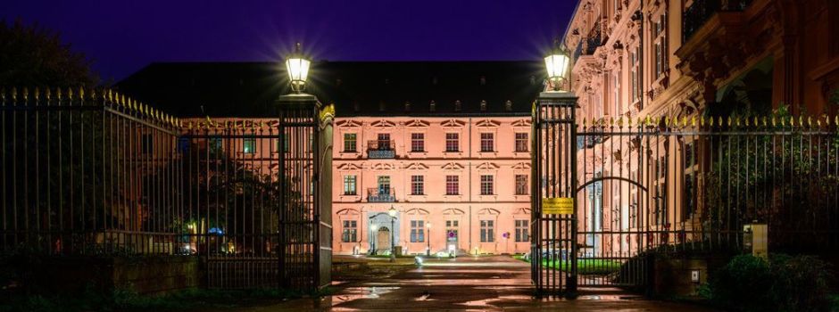 Mainzer Stadtratswahl: Grüne laut Prognose vorne