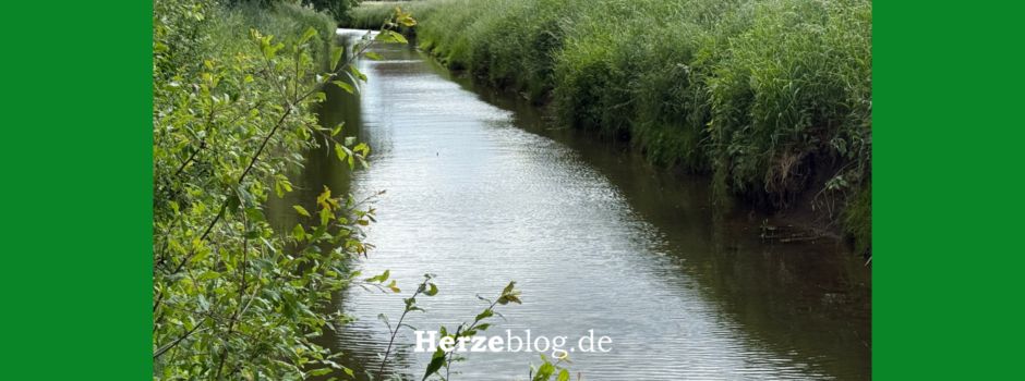 Wassermangel im Kreis Gütersloh – Keine Entnahme aus Flüssen erlaubt