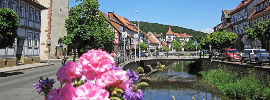 Eine Busfahrt in den Norden