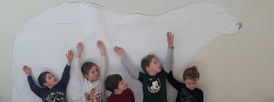 „Eisbären und Pinguine treffen sich niemals!“