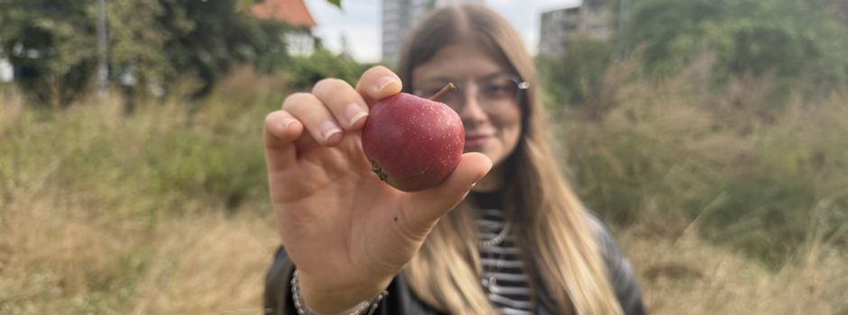 Obstpflücken in Ronnenberg: Fünf Flächen laden zum Ernten ein 