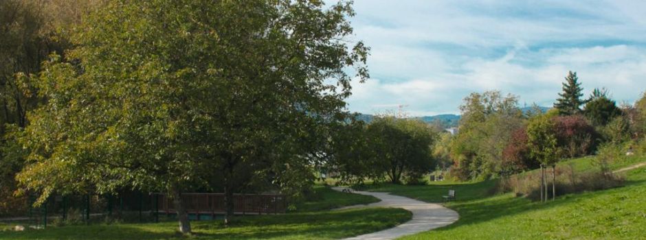 Viele Wiesbadener Bäume in schlechtem Zustand