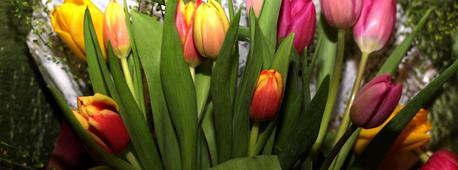 Alles Gute zum Internationalen Frauentag!