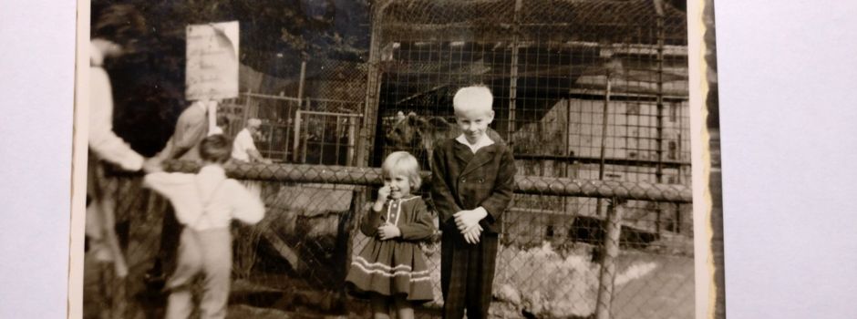 Berühmte Gebäude in Mainz, die nicht mehr existieren