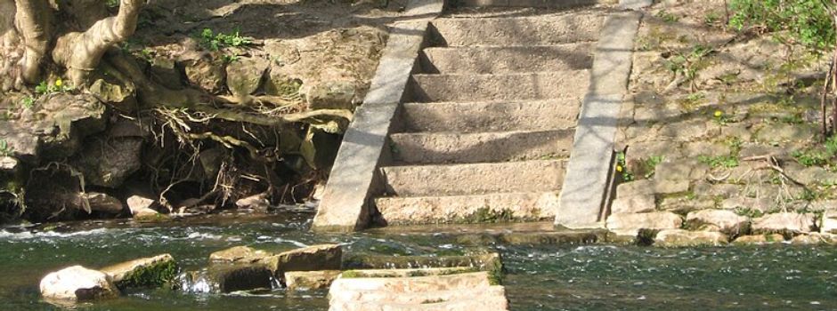 Was hat es mit dem Ochsenklavier in der Primm in Worms-Pfiffligheim auf sich?