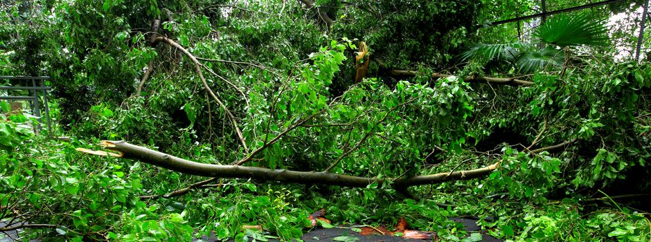 Sturm über Niederkassel angekündigt