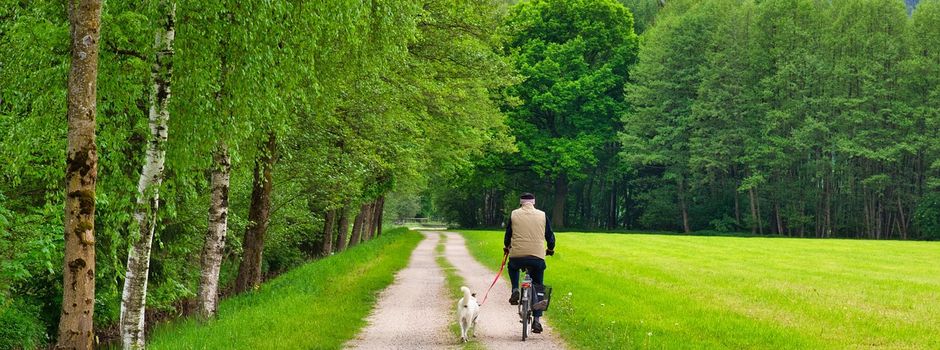 Radverkehrskonzept Landkreis Südliche Weinstraße Start der 2. Online-Beteiligung