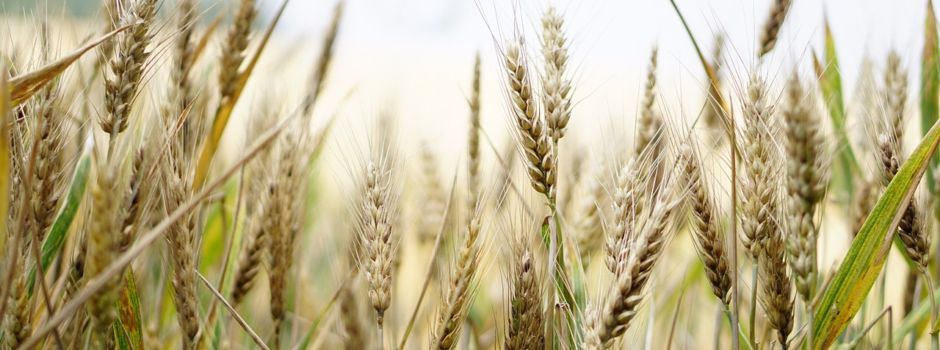 Einladung: Landwirtschaft auf der Spur am 30. Mai