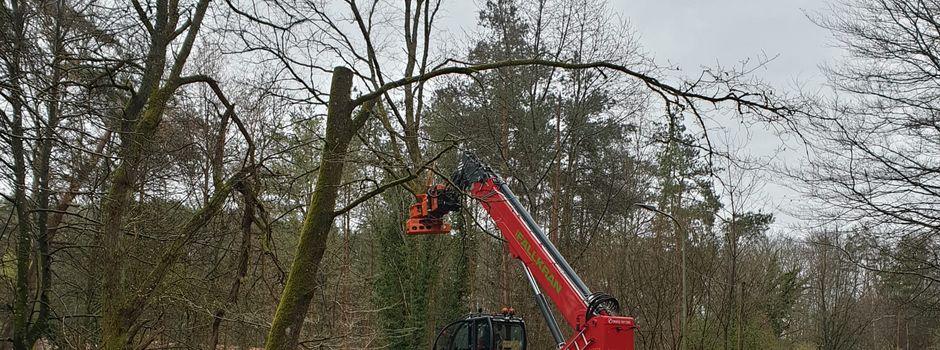 Sanierung Wirtschaftsweg Kobertal
