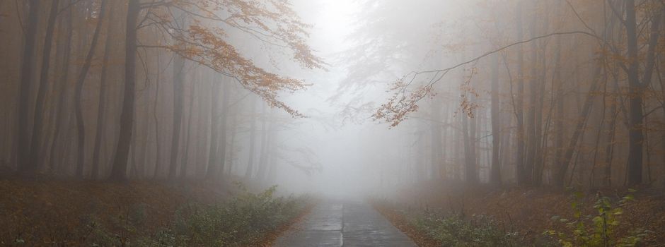 Nebel und schlechte Sicht – Sicher unterwegs