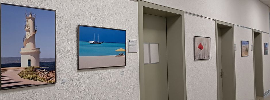 Neue Ausstellung in der „Kleinen Galerie“ im Rathaus