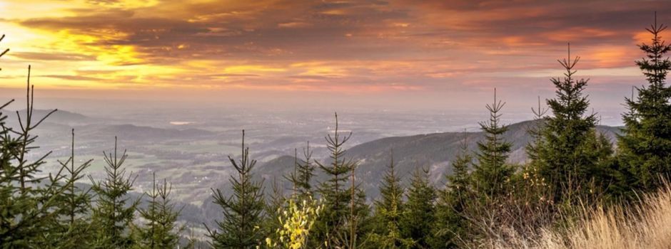 Friedlandtreffen 2025