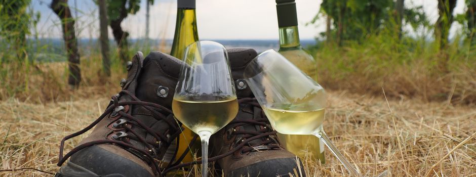 Spirituelle Weinwanderung
