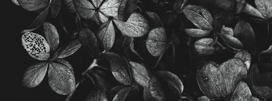 Hospizverein lädt zum Spielenachmittag für Trauernde ein