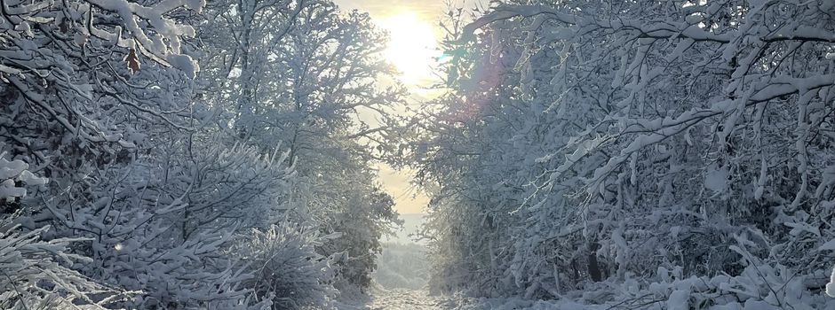 Adventsfenster in Kollig und Gering