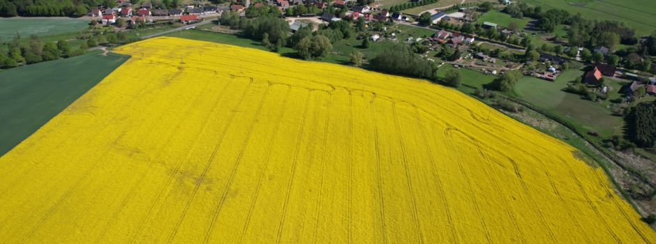 Impressionen aus der Vogelperspektive