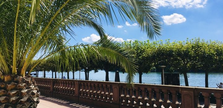 Fast 40 Grad in Wiesbaden in dieser Woche