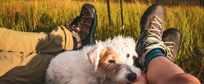 Wandertag der Freizeitkicker: Ein Tag voller Bewegung und Gemeinschaft